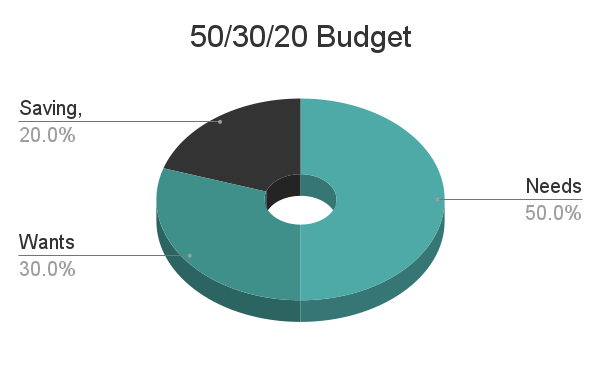 Starting A Budget - 50/30/20 Budget model