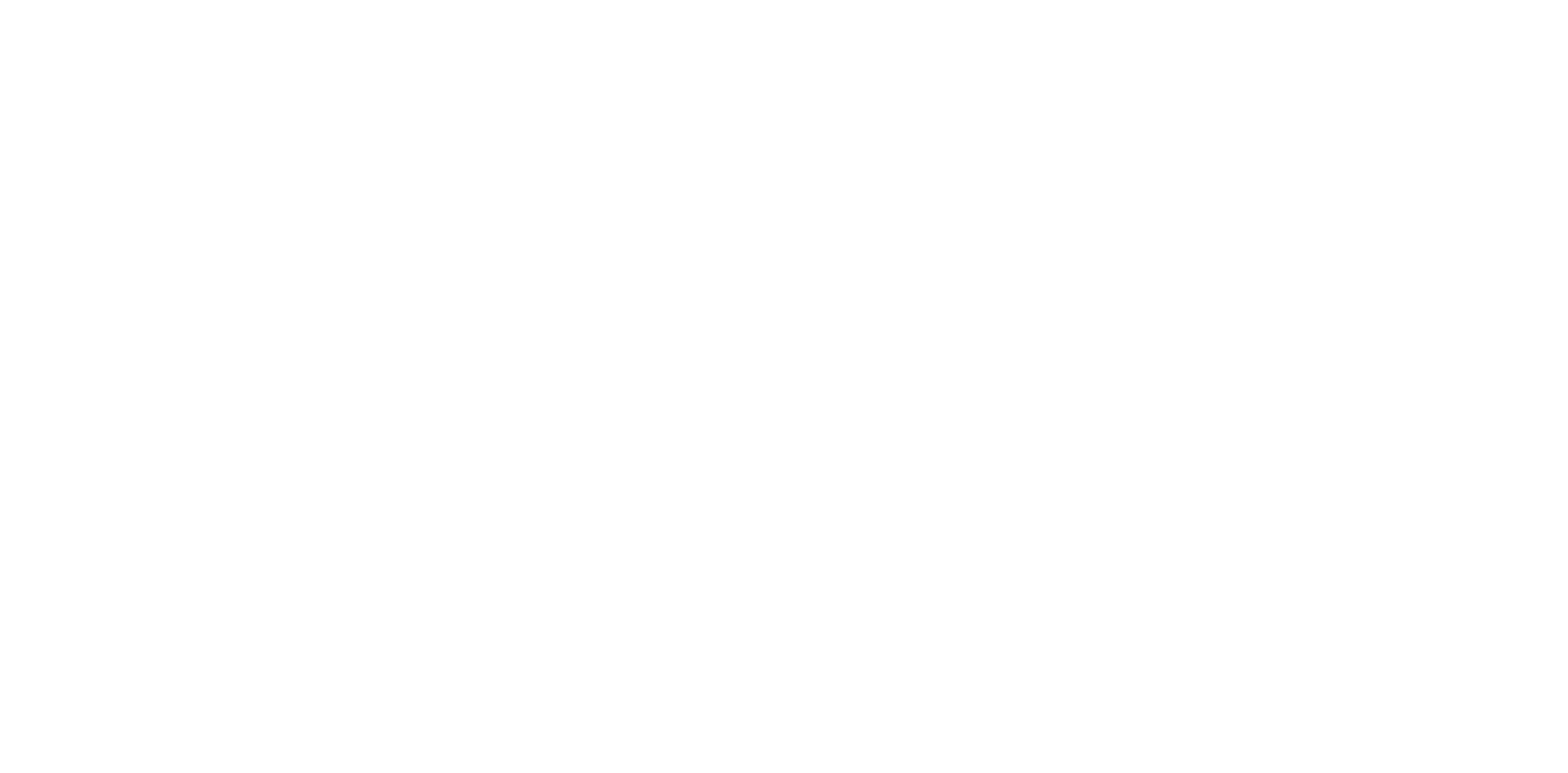 Patrik Shore Personal Finance White Logo